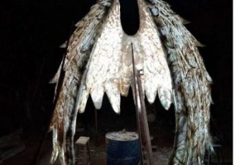 城市翅膀雕塑，網格燈光雕塑，古銅效果