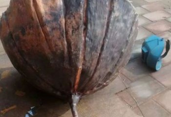 景觀蓮蓬雕塑 剪影植物雕塑 商業(yè)街雕塑